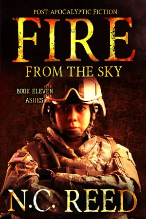 Fire From the Sky: Ashes Paperback  December 2, 2020