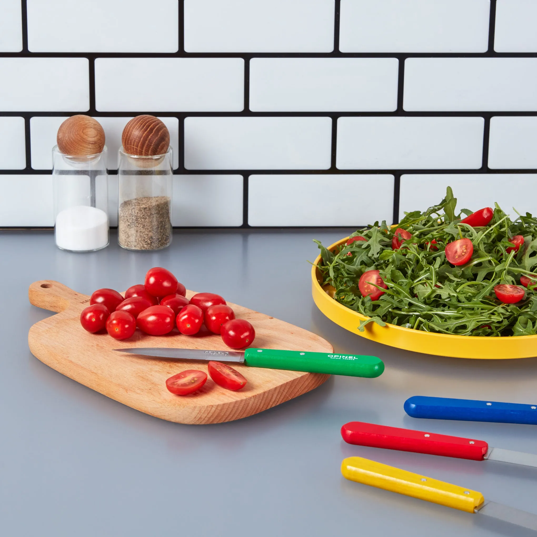 Opinel Paring Knives - Set of 4